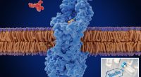 Roche moves antibiotic for superbug to Phase 3 of testing