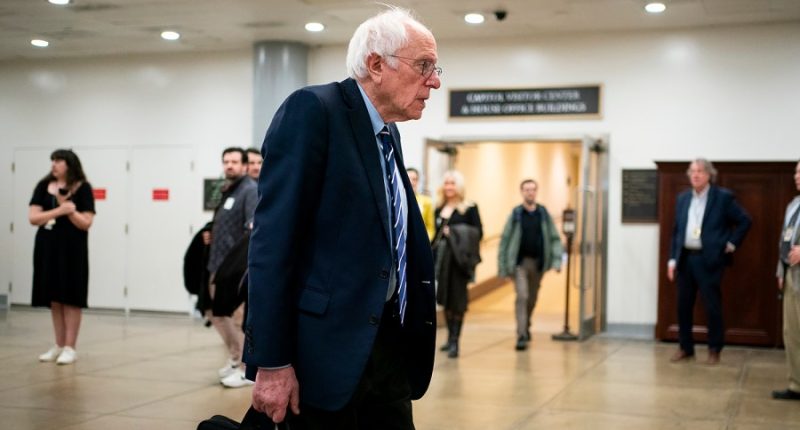 Sanders: Democrats' problems have 'nothing to do' with Biden, Harris 