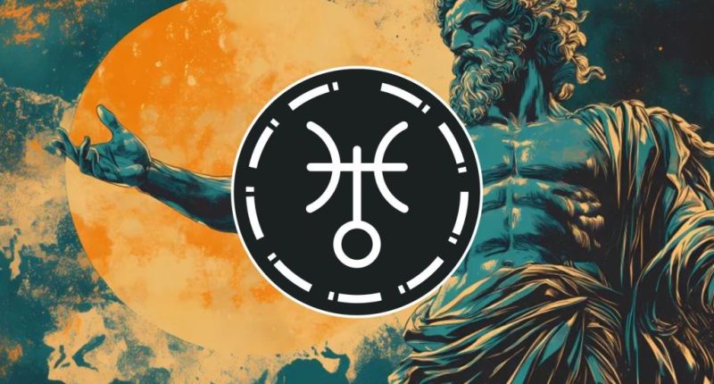 Seize the slay during this wild transit