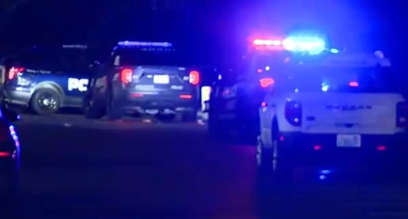 An image collage containing 1 images, Image 1 shows Police cars at night at a crime scene