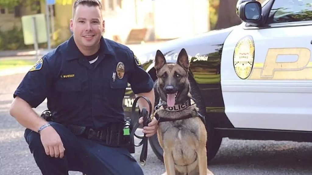 Shocking downfall of cop once hailed as pillar of community