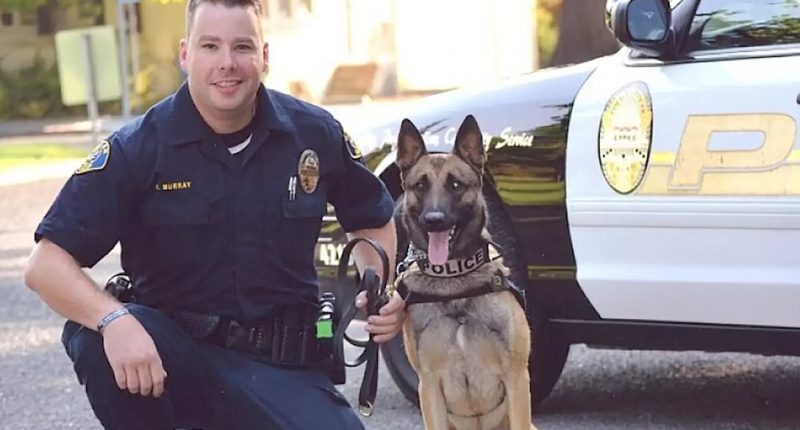 Shocking downfall of cop once hailed as pillar of community