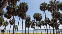 St. Pete ranks No. 1 in Florida, No. 14 nationally for parks