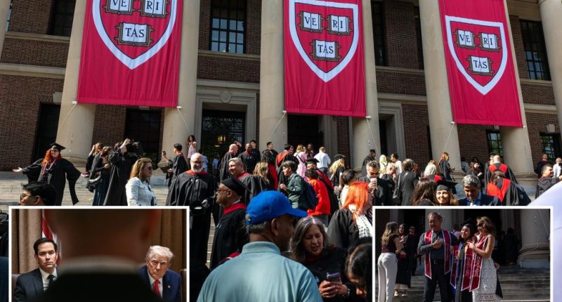 State Department now probing all visa holders at Harvard -- not just foreign students