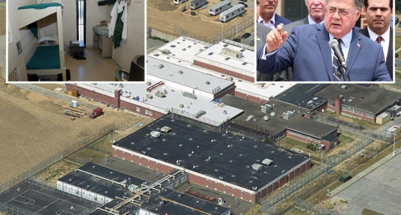 Suffolk County agrees to pay out $18 million in court settlement over 'inhumane' conditions in county jails