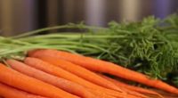 Tampa Bay SNAP recipients worry potential cuts could limit access to healthy food