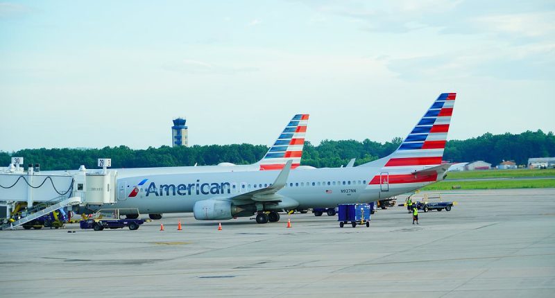 Terror on American Airlines flight as passenger attacks crew member