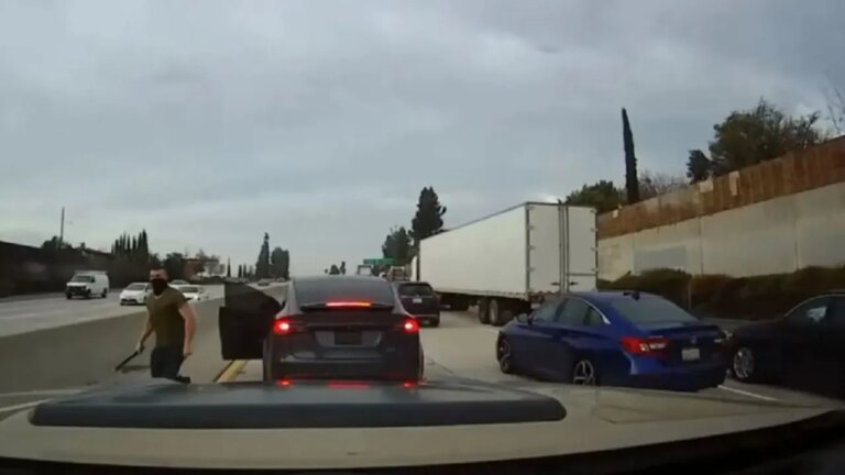 Tesla Road Rage Incident: Hawaii Man Gets 7-Year Sentence for Assaulting Mother and Daughter