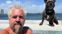 Guy Fieri