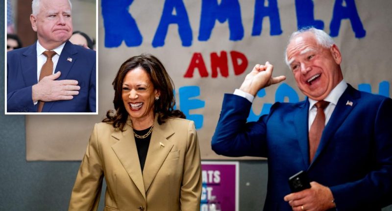 Tim Walz mocked for saying he could 'code talk to white guys'