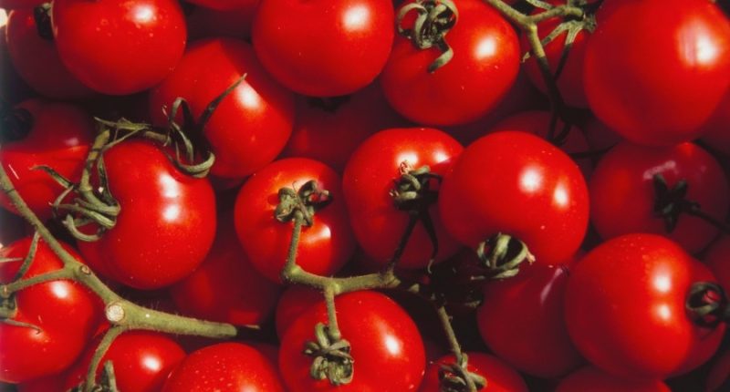 Tomatoes sold at Gordon Food Service recalled due to possible salmonella contamination