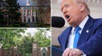 Trump to yank all federal funds to Harvard over school's mishandling of campus antisemitism
