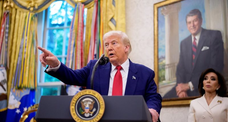 Trump's response to Elon Musk slamming his 'big, beautiful bill'