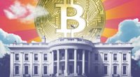 Trump’s ‘crypto council’ has ‘no juice’ as it stumbles out of the gate on key Capitol Hill vote: sources