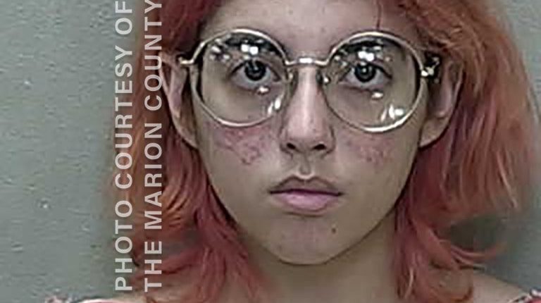 Mugshot of Dianely Torres.