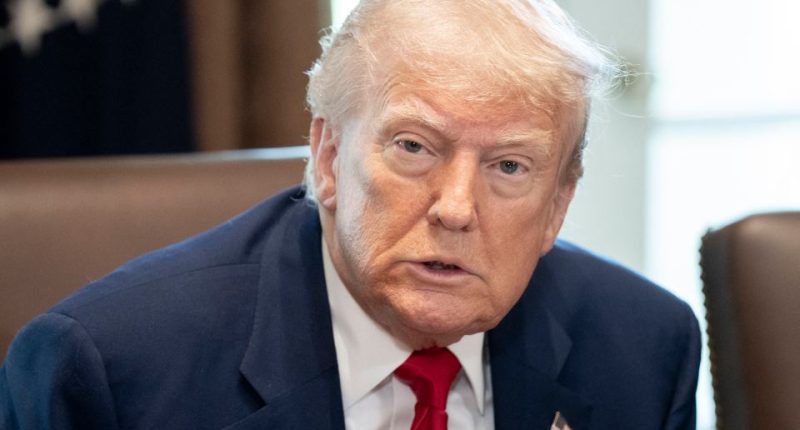 President Trump at a cabinet meeting.