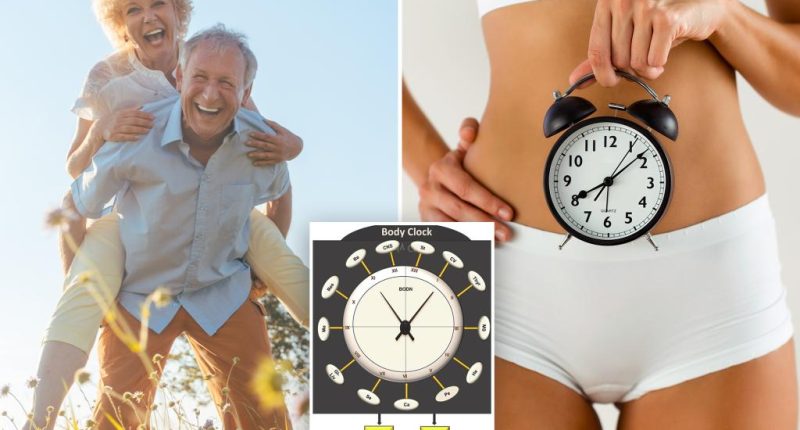 University of Washington School of Medicine body clock tool calculates people's biological age