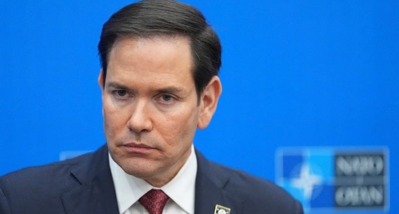 Vance, Rubio blast Germany for labeling far-right party as ‘extremist’
