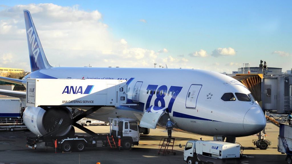 Video shows manic passenger who tried to murder all on flight to Texas