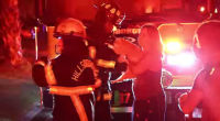 WATCH: Cats reunited with family after rescue from burning Brandon home