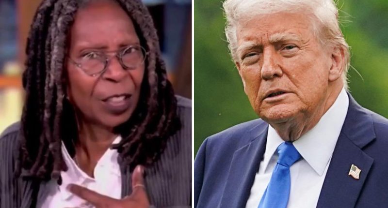 Whoopi Goldberg lashes out at Trump's Hollywood tariffs