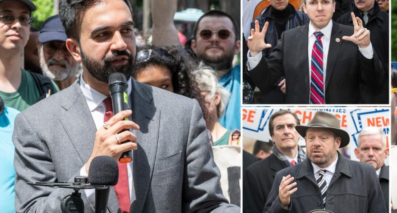 Zhoran Mamdani spews antisemitic tropes, falsely claims taxpayers foot the bill for NY pols' Israel trips