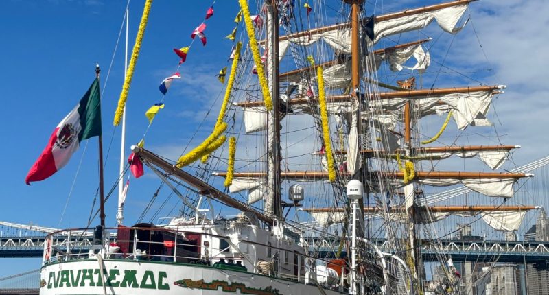 'I thought it was a movie': Mexican ship's collision with Brooklyn Bridge leaves locals in disbelief