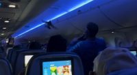 The Delta Airlines flight from ﻿Minneapolis to Madison, Wisconsin, was delayed on Saturday (local time) when two pigeons started flying through the cabin.