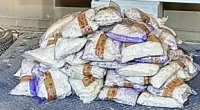$5M in drugs seized at South Texas port of entry, CBP says