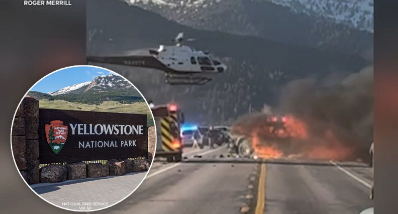 7 people are dead after pickup truck and tour van collide near Yellowstone National Park, police say