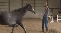 95-year-old Seymour man still 'horsing' around