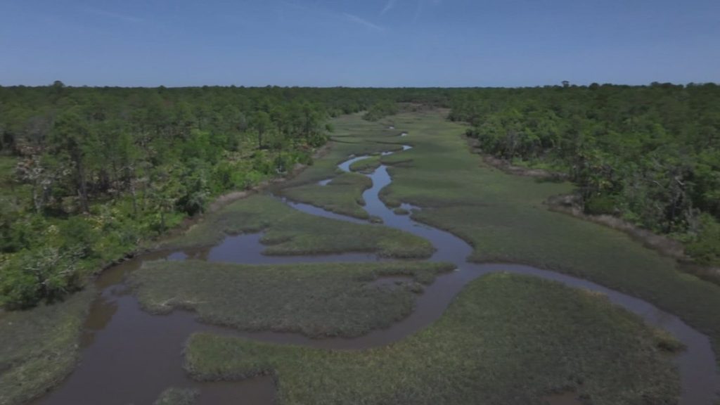 After application withdrawn for St. Johns County land swap, state rep wants to make a different deal