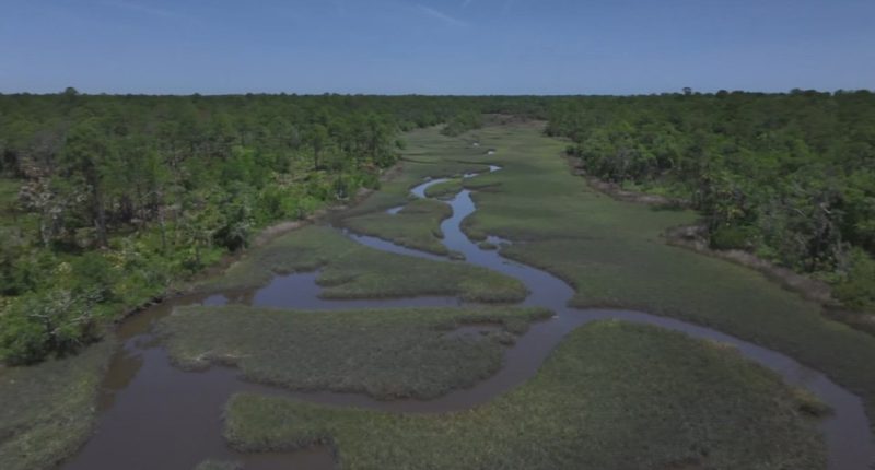 After application withdrawn for St. Johns County land swap, state rep wants to make a different deal