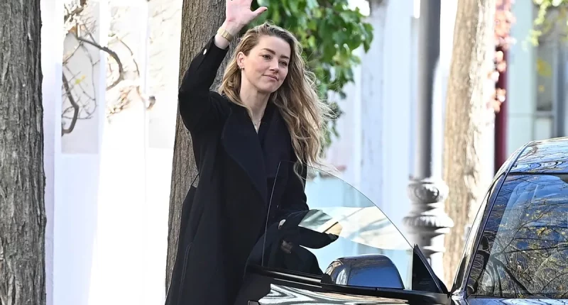 Amber Heard Celebrates Mother's Day By Announcing the Birth of Her Twins