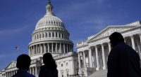 An Update on the 2026 Senate Races