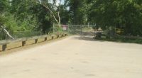 Augusta to remove fallen trees from Helene keeping Augusta Canal path closed