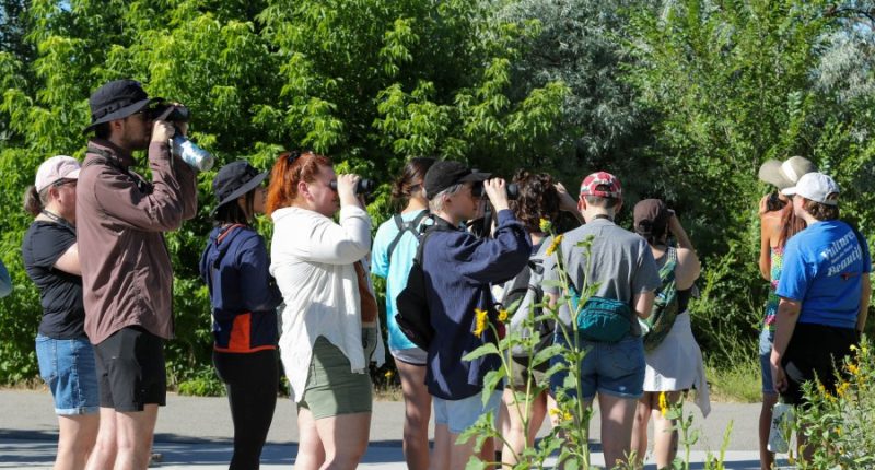 Birdwatching takes off in Utah among Millennial and Gen Z