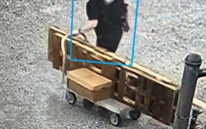 Bloodhounds hunting 'Devil in the Ozarks' fugitive are seen as key part of manhunt