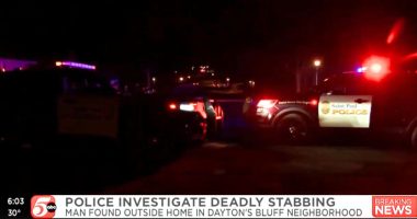 Boy, 14, describes stabbing man to death in journal: Cops