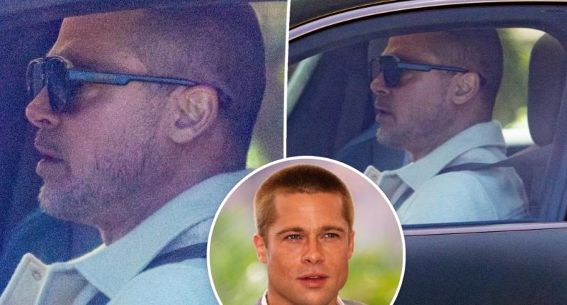 Brad Pitt brings back his iconic ‘90s buzzcut