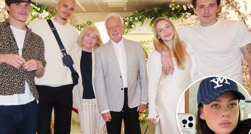 Brooklyn Beckham’s wife, Nicola Peltz, missing from Victoria’s new family photo as feud rumors heat up