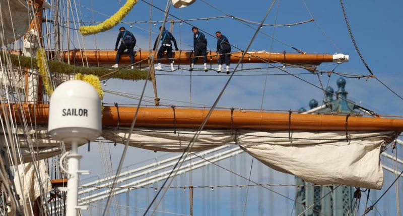 Brooklyn Bridge ship collision: Officials probe why Mexican tall ship hit bridge