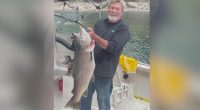 California man spends 30 minutes reeling in monster-sized trout: 'Quite a shock'