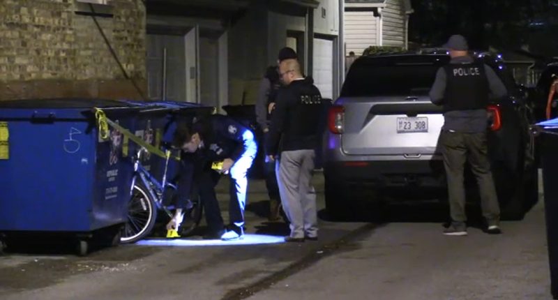 Chicago crime: 1 in custody after woman sexually assaulted on Lunt Avenue in Rogers Park, police say