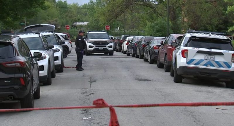 Chicago crime: 3 young children stabbed on South Harvard Avenue near Greater Grand Crossing, woman in custody, police say