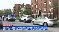 Chicago crime: Aurionah-Rakii-Karie Parker-White charged after 3 young children stabbed on South Harvard Avenue, police say