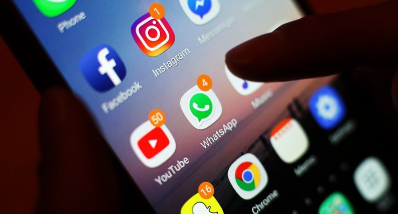 Children under 16 will be BANNED from social media to protect them from 'harmful content' under plans put forward in New Zealand