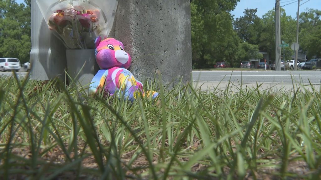 Councilman calls for urgent safety upgrades after father and son killed on Baymeadows Road