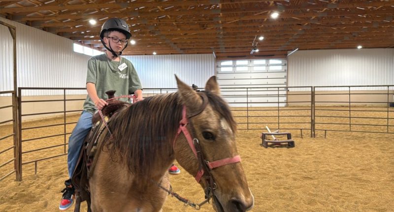 Creating confident kids: New therapeutic horse program helping children with special needs in Macon Co.