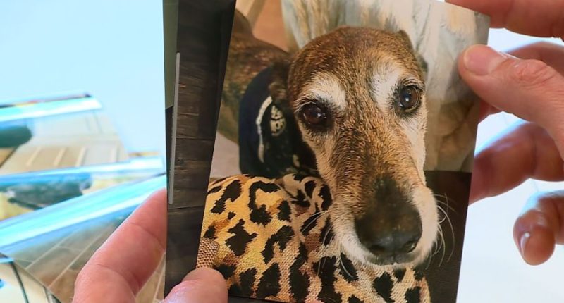 Brian Roby holds a picture of his dog Kali, who passed away in 2024. (KXAN Photo/Ed Zavala)